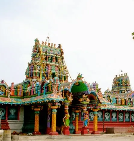 नागपूषणी अम्मन मंदिर